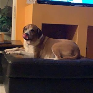 Meet your Posher, Joann